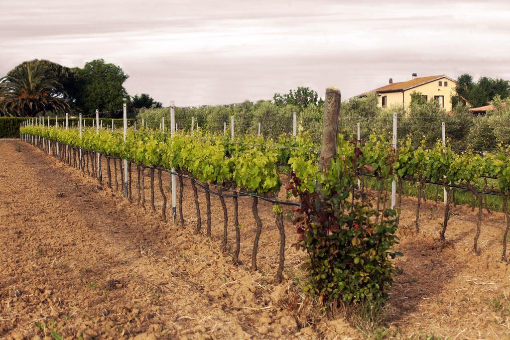 Il Giardino Dell'osa *